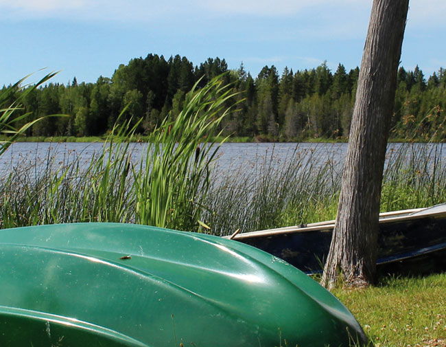 Contacter le camping du Lac Dôle